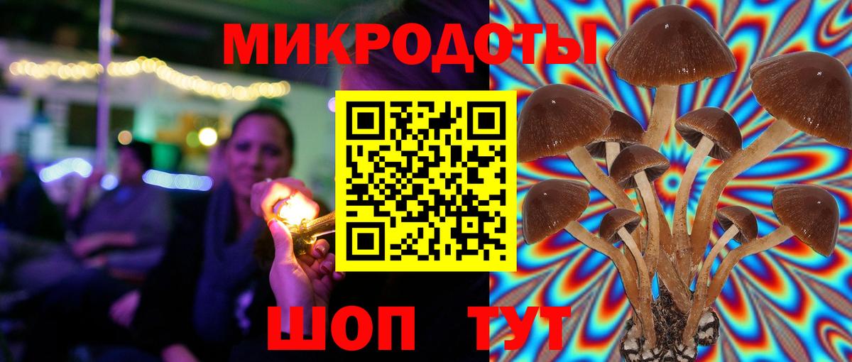 Псилоцибиновые грибы Cubensis Избербаш