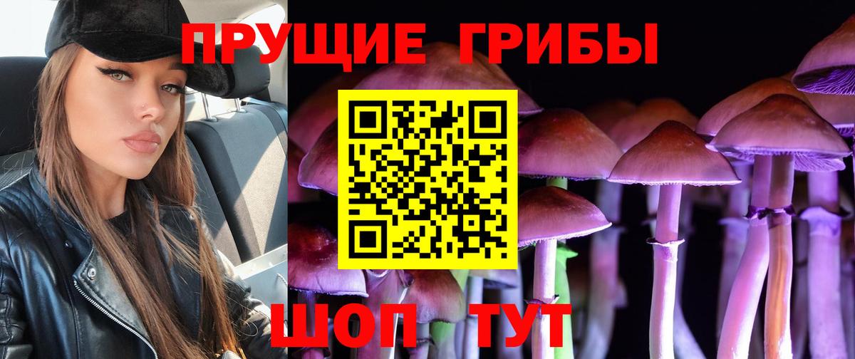 Избербаш  Галлюциногенные грибы GOLDEN TEACHER  Вход с VPN 